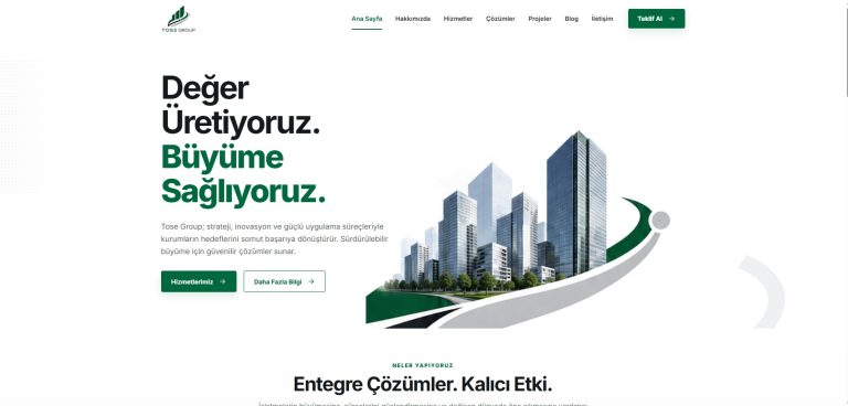 Tose Group web sitesi görünümü